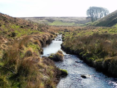 1.-Looking-upstream-to-Three-Combes-Foot-2