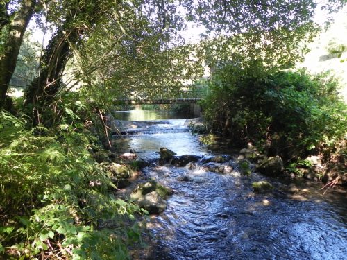 1.-Mill-Lane-Fish-Farm-footbridge-2