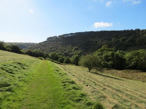 1.-River-Exe-Valley-from-Lyncombe-Hill