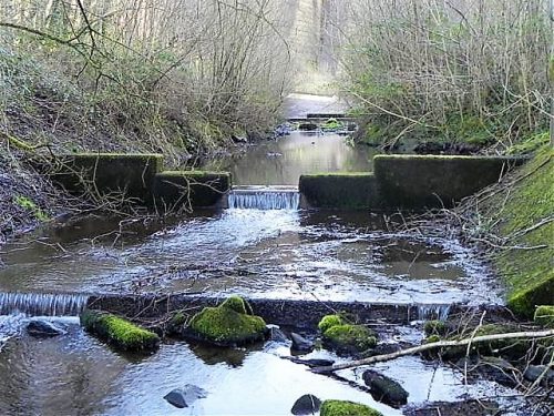 1.-River-Haddeo-leaves-Wimbleball-Lake-8