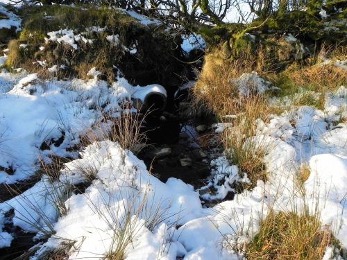 1.-River-Quarme-source-on-Hoar-Moor-2