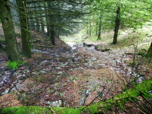 1.-Source-near-Withiel-Hill-12 (1)
