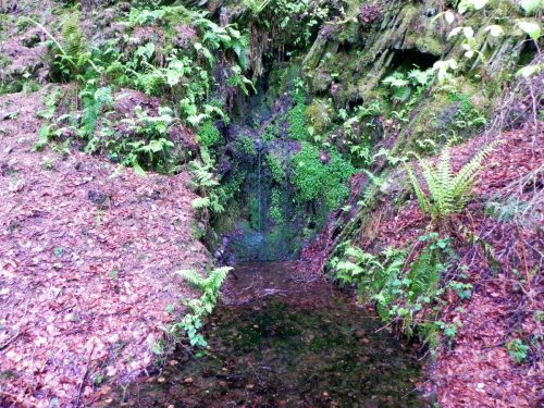 1.-Source-near-Withiel-Hill-14