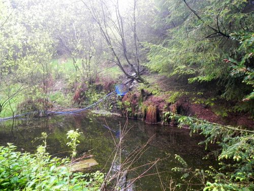 1.-Source-near-Withiel-Hill-7