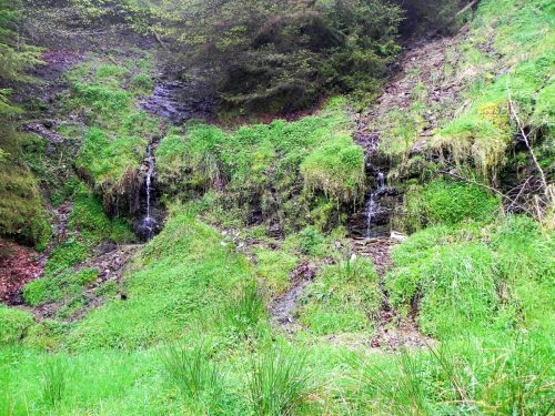 1.-Source-near-Withiel-Hill-8