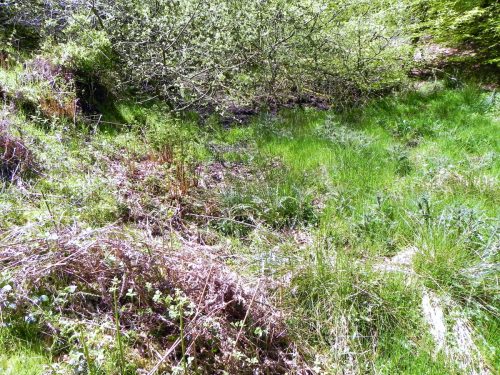 1.-Source-on-Kennisham-Hill-3