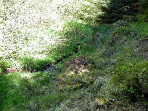 1.-Source-on-Kennisham-Hill-4
