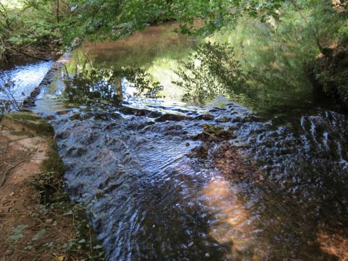 1.-Stawley-Mill-leat-starts-from-Weir