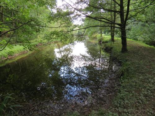 Stawley Mill Pond
