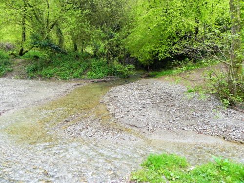 1.-Treborough-headwaters-join-6