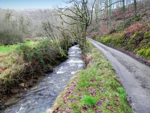 1.-Upstream-from-Confluence-with-River-Haddeo-2
