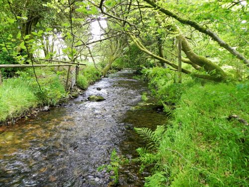 1.-Upstream-from-Furzehill-Bridge