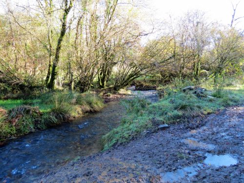 1.-Upstream-from-Harriford-Bridge-10