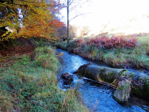 1.-Upstream-from-Harriford-Bridge-11