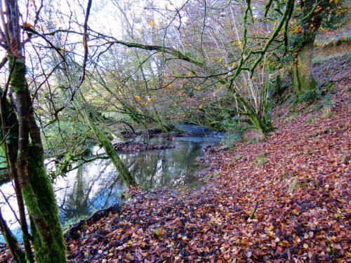 1.-Upstream-from-Harriford-Bridge-12