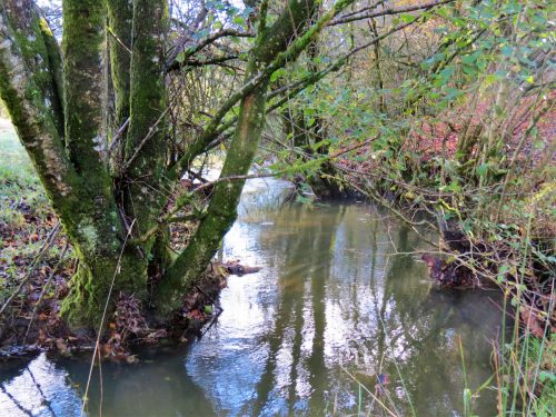 1.-Upstream-from-Harriford-Bridge-14