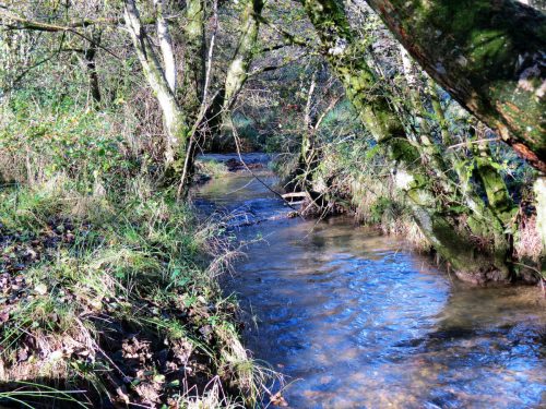 1.-Upstream-from-Harriford-Bridge-15