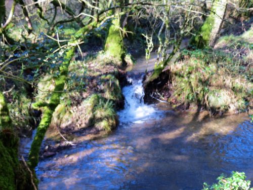 1.-Upstream-from-Harriford-Bridge-16