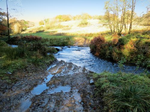 1.-Upstream-from-Harriford-Bridge-9