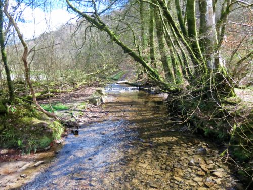 1.-Upstream-from-Lake-1