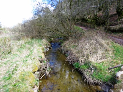 1.-Upstream-from-Lake-11