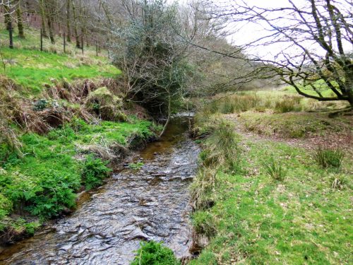 1.-Upstream-from-Lake-19