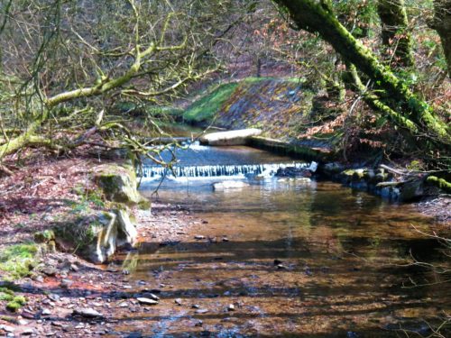 1.-Upstream-from-Lake-2