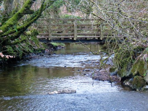 1.-Upstream-from-Lake-25