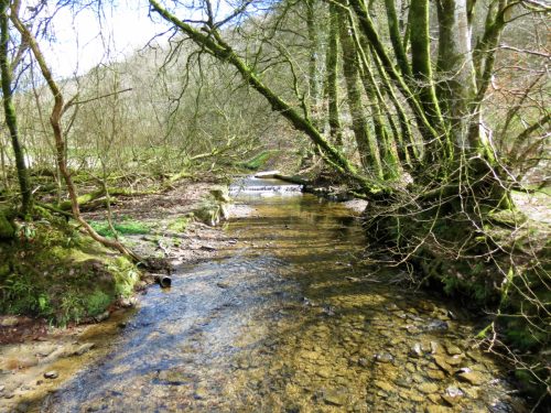 1.-Upstream-from-Lake-3