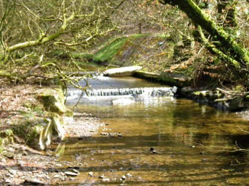 1.-Upstream-from-Lake-4