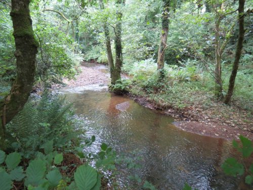 1.-Upstream-from-Manor-Mill