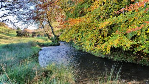 1.-Upstream-from-Nightcott-Bridge-2 (1)