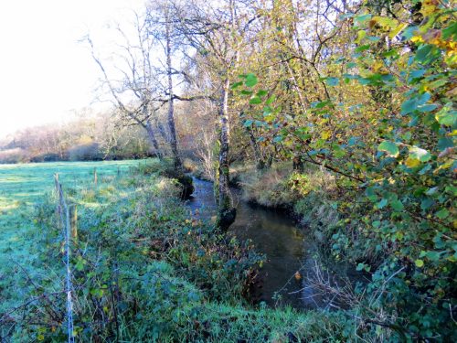 1.-Upstream-from-Nutsford-Bridge-10