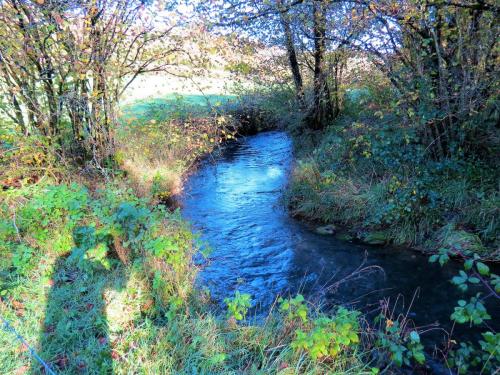 1.-Upstream-from-Nutsford-Bridge-11