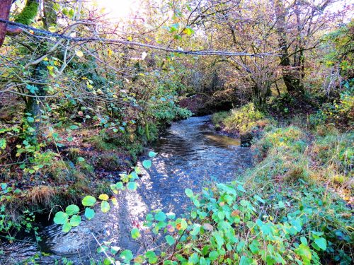 1.-Upstream-from-Nutsford-Bridge-12