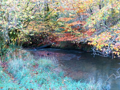 1.-Upstream-from-Nutsford-Bridge-8