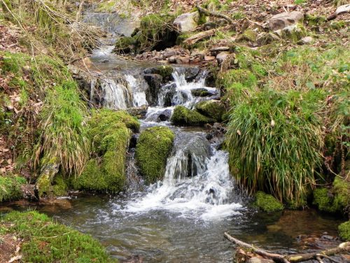 1.-Upstream-from-River-A-2