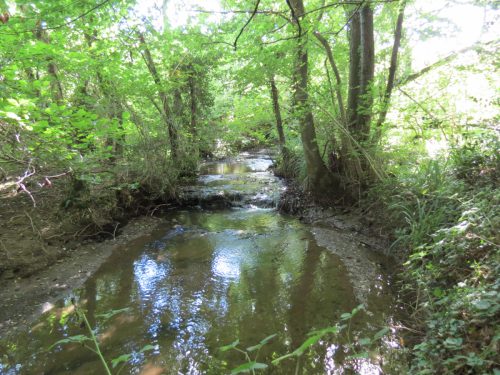 1.-Upstream-from-River-Tone