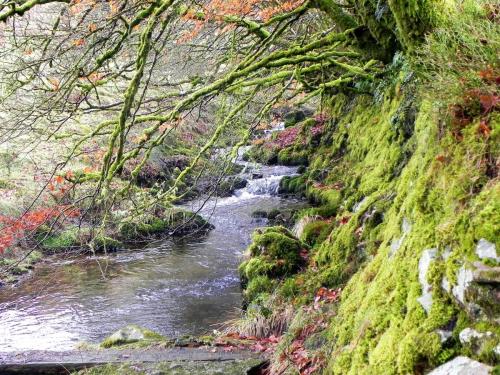 1.-Water-from-Hoccombe-Combe-flowing-to-Badgworthy-2