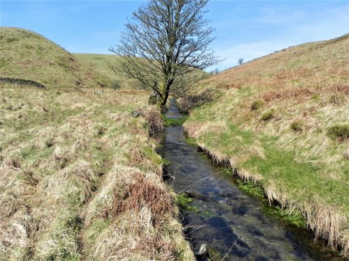 1.-White-Water-flowing-to-join-River-Barle-2