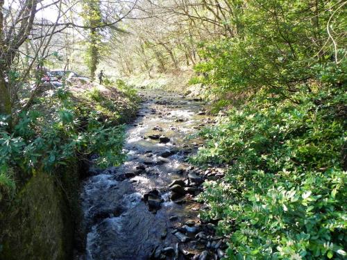 1.-looking-upstream-from-Martinhoe-Bridge-2