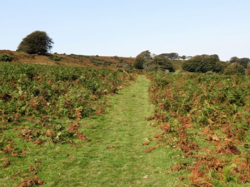 10.-Approach-to-Hoar-Oak-Cottage