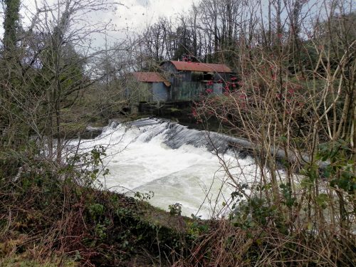 10.-Beasley-Mill-weir-from-East-bank-2