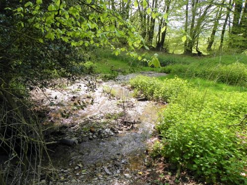 10.-Combined-Treborough-headwaters-2