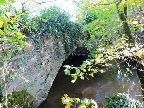 10.-Cothay-ROW-Footbridge-No.-5261-upstream-arch-2