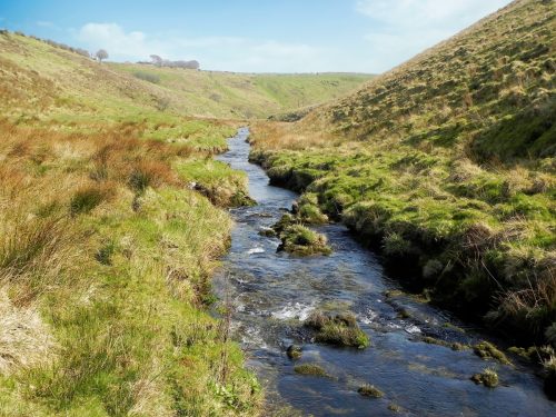 10.-Downstream-from-Aclands-Farm-2