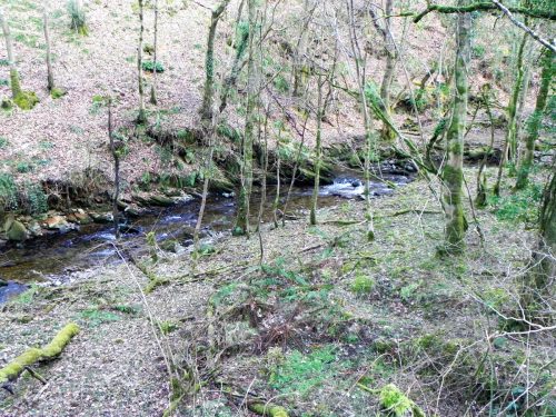 10.-Downstream-from-Bridge-Ball-2