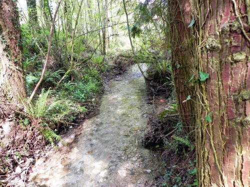 10.-Downstream-from-Comberow-5