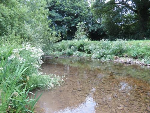 10.-Downstream-from-Court-Cottage-Bridge-2