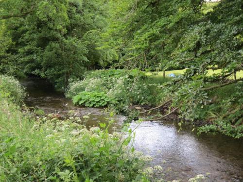 10.-Downstream-from-Court-Cottage-Bridge-3